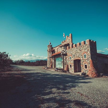 Tkhilistskaro Chateau Bruale מראה חיצוני תמונה
