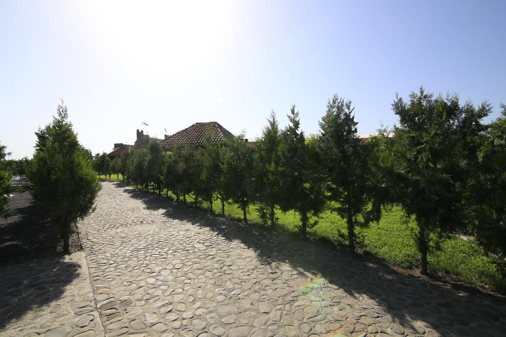 Tkhilistskaro Chateau Bruale מראה חיצוני תמונה